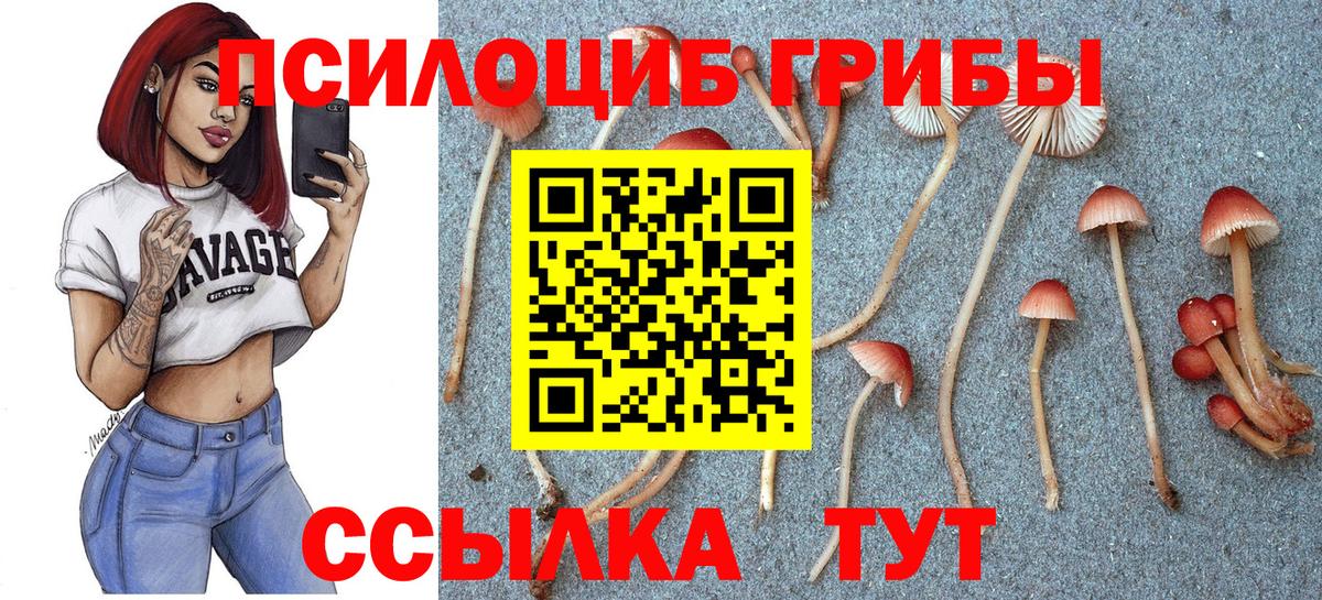 Галлюциногенные грибы прущие грибы  Псилоцибиновые грибы мухоморы  Вход с VPN  купить наркотик  Донецк 